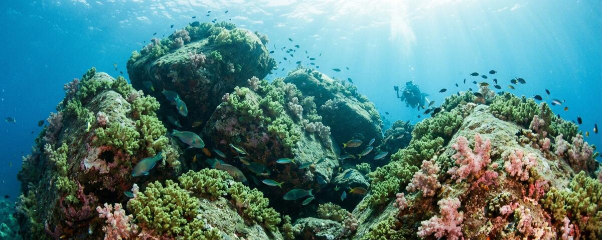 Massive coral-covered boulders stacked on a tropical reef with schools of fish swimming between the formations at Boulders dive site, Puerto Galera, Philippines
