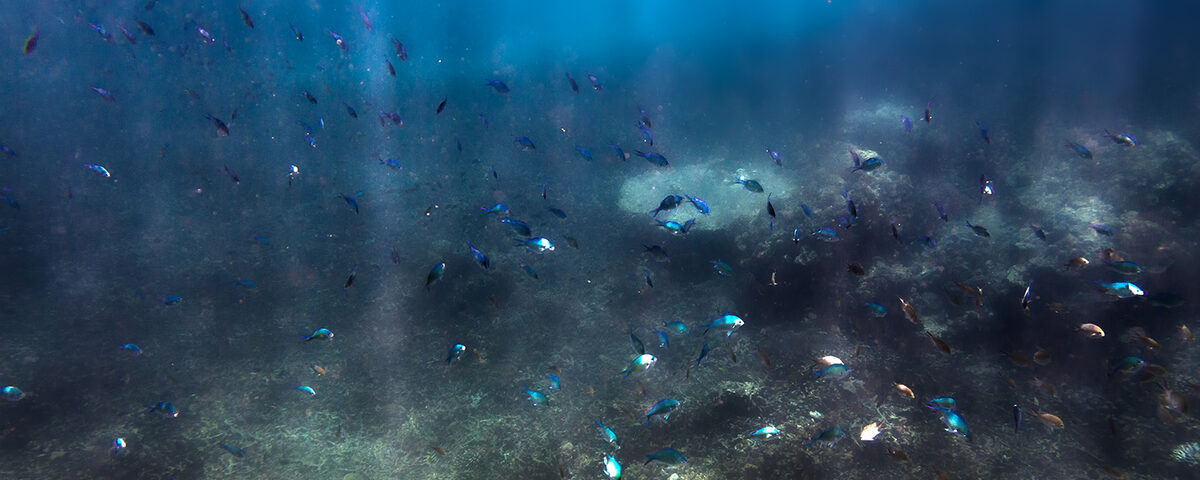 Diver swimming through granite boulder passage at Elephant Head Rock, Similan Islands
