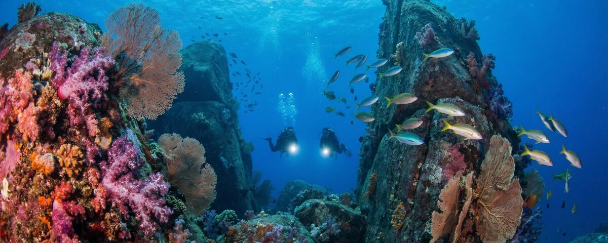 Massive granite boulders covered in colourful soft corals at Boulder City dive site in the Similan Islands, Thailand