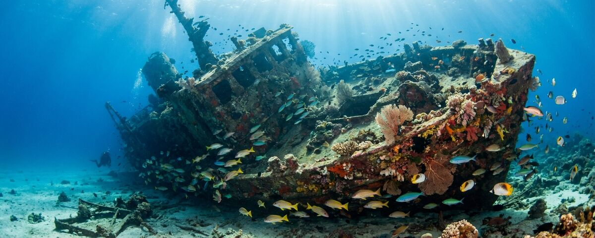 Coral-encrusted hull of the British Loyalty shipwreck in Addu Atoll, Maldives