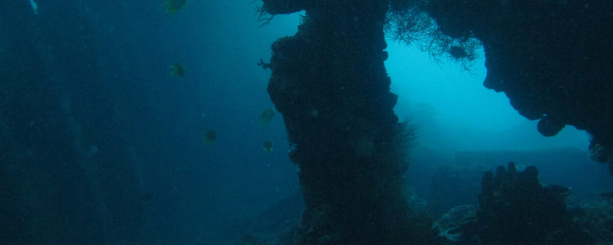 Coral-encrusted wreck structure with marine growth, representative of small shipwreck dive sites like the Japanese Wreck at Amed, Bali