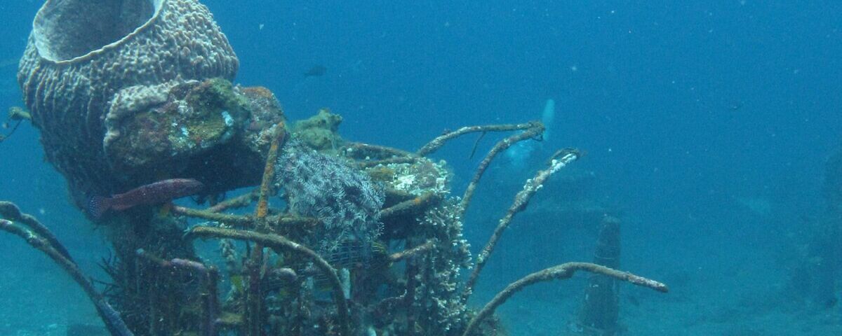 Coral-filled cargo hold of the Kogyo Maru wreck, Coron, Philippines