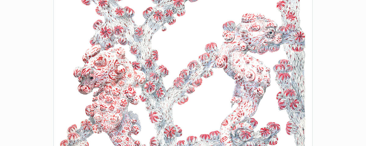 Pygmy seahorse camouflaged on gorgonian sea fan, representative of the exceptional macro diving and critter hunting at Secret Bay, Gilimanuk