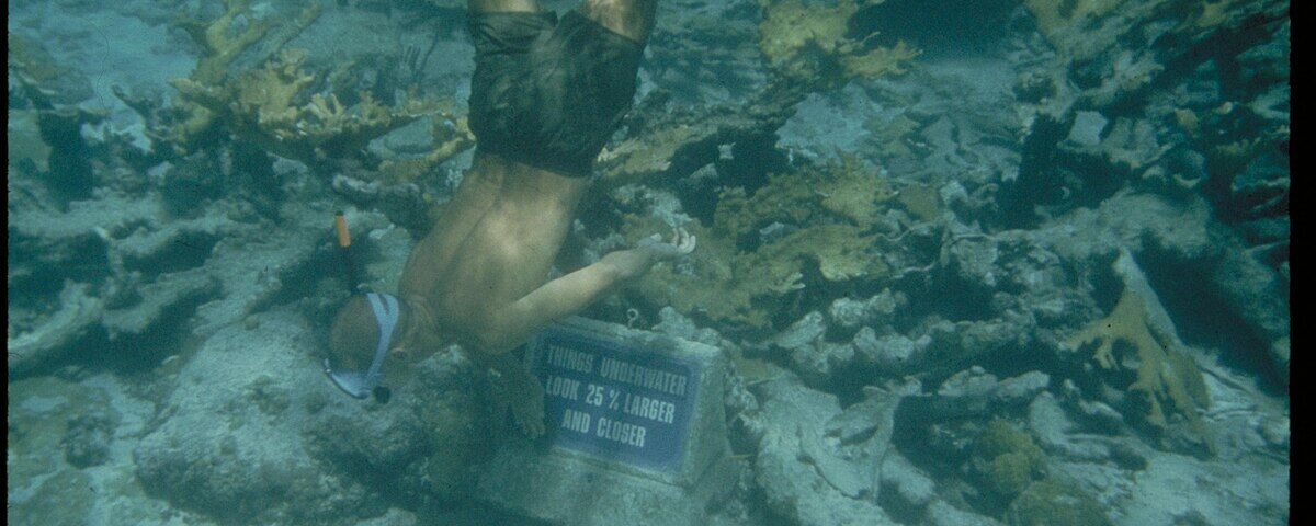 Sandy reef slope with tropical fish at White Beach dive site, Moalboal, Cebu